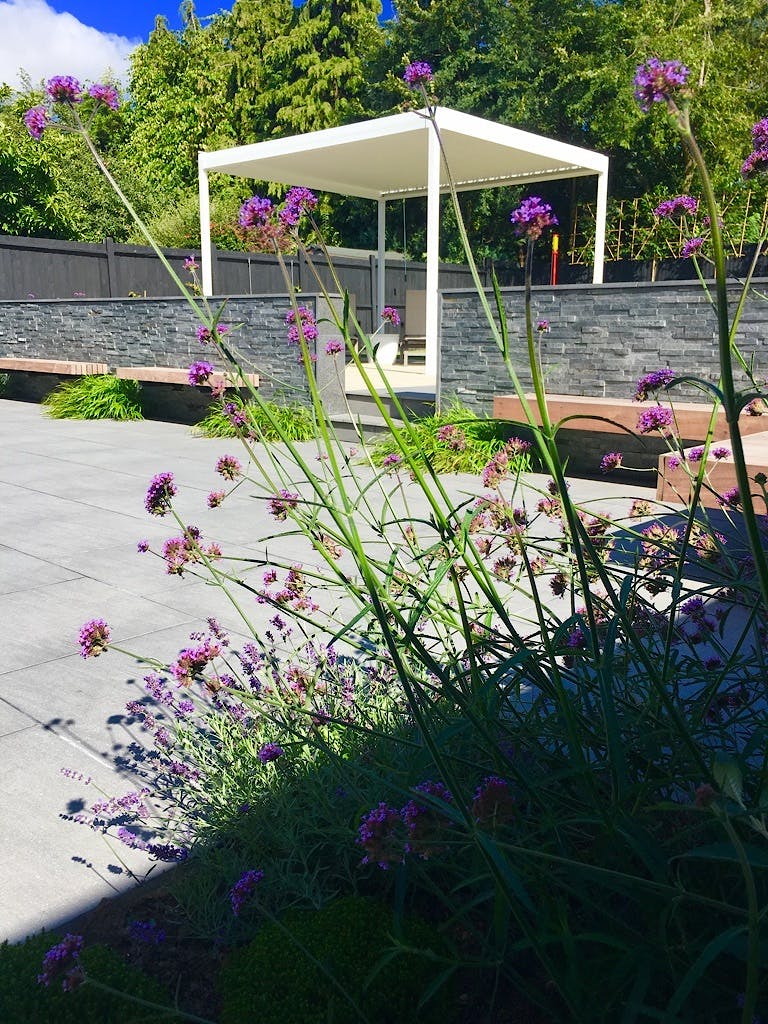 The completed pergola at Sevenoaks behind the newly planted Verbenas.