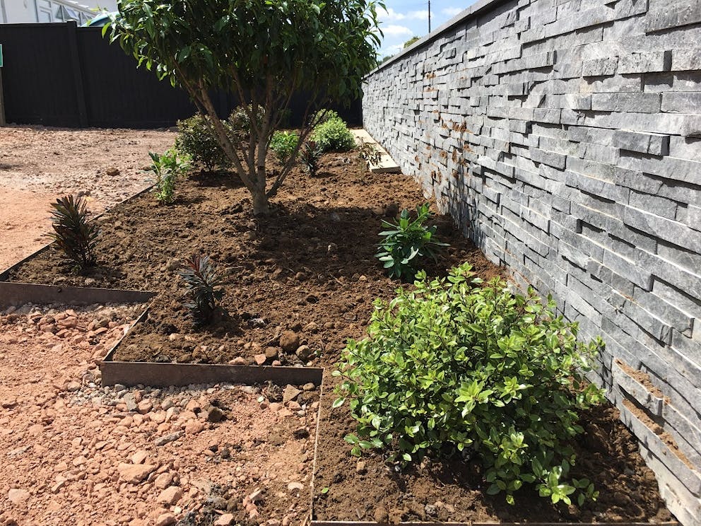 Detail of the wall and planting during construction.